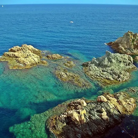 Apartment Lets Holidays Tossa Near 2 *